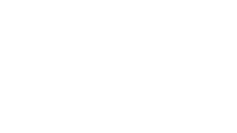The Champion : Le combat de la liberté