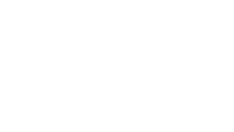 Anatomie d'une chute