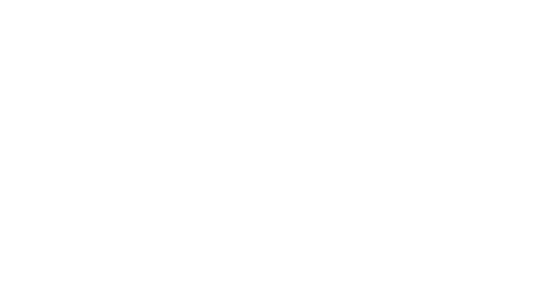 Le samouraï