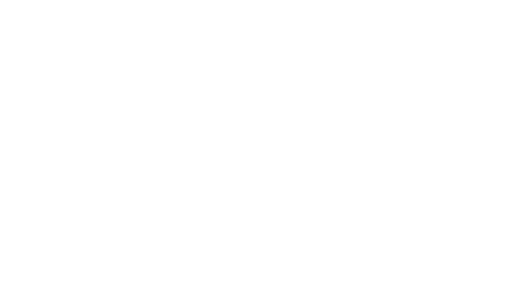 The Boat