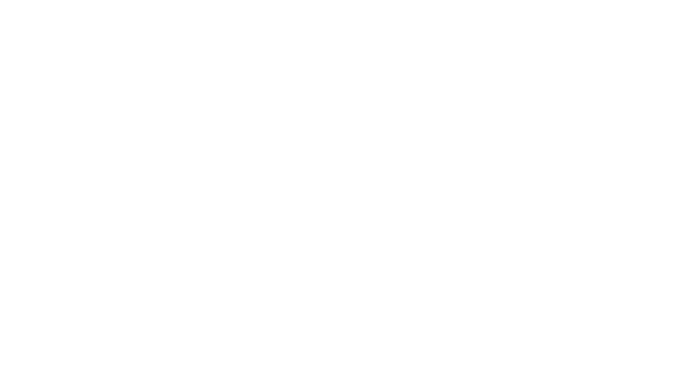The Gentle Gunman