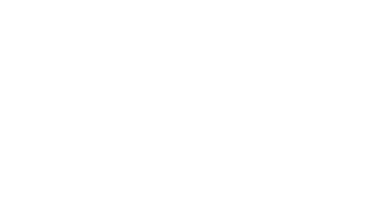 Le Balai libéré