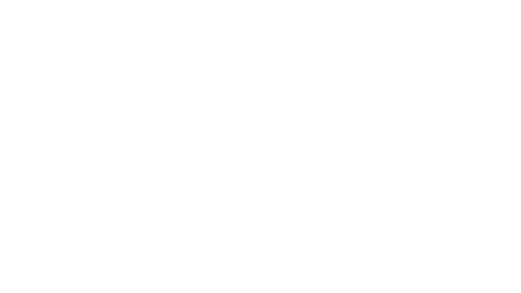 The Wall
