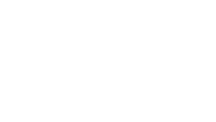 Brice 3