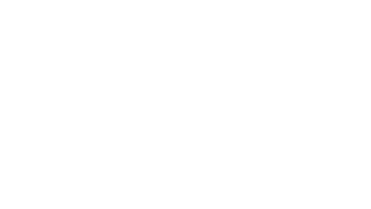 Les tontons flingueurs