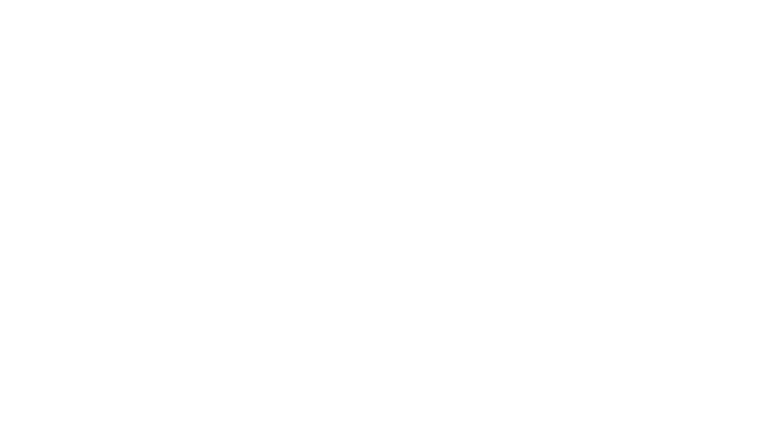Tokyo Vice
