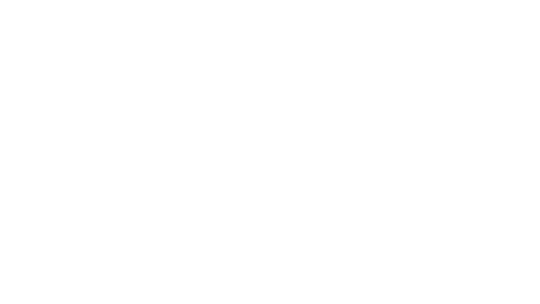 The Beast