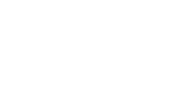 N° 10 - Trailer