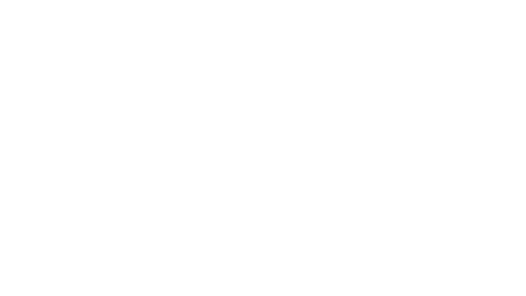 Solo