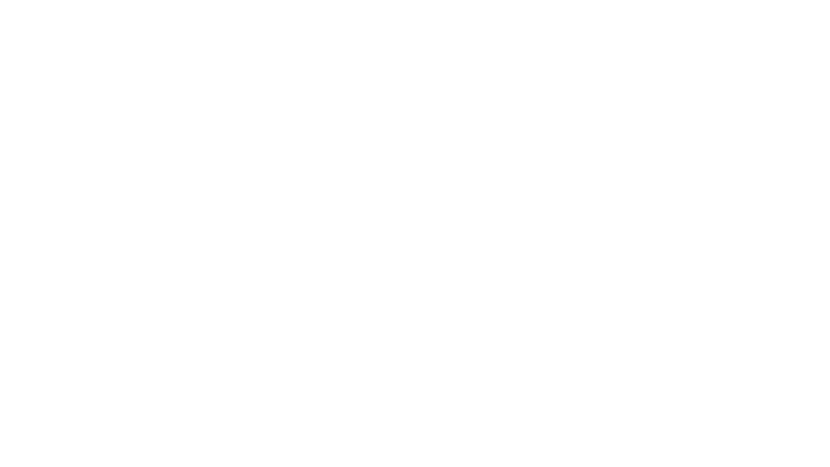 Borgo