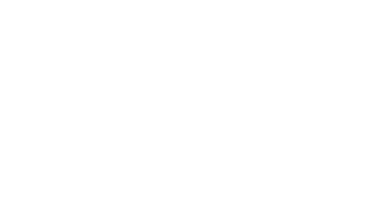 L'Affaire Vinca Curie