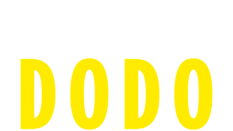 Dodo