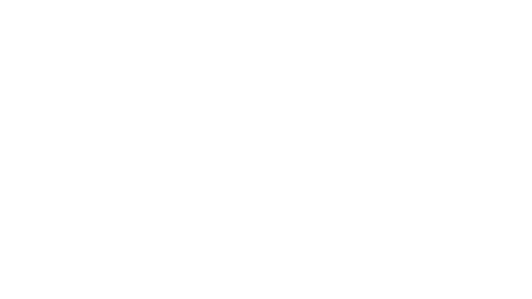 Parties de chasse en Sologne