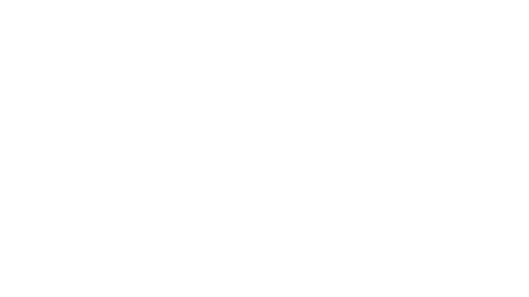 Le choix des armes