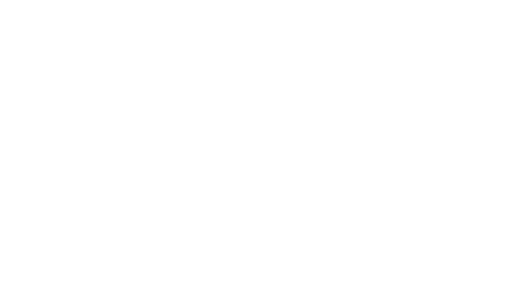 Les guetteurs