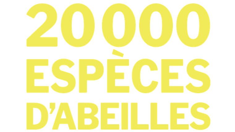 20 000 espèces d'abeilles - Trailer