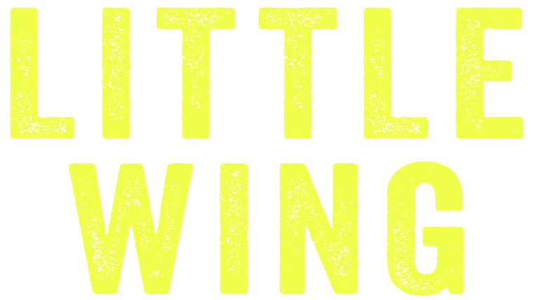 Little Wing