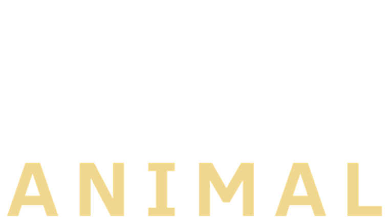 Animal - Trailer