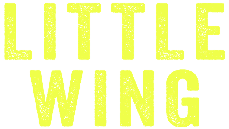 Little Wing - Trailer