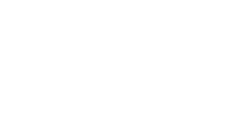 Mon ami le petit manchot