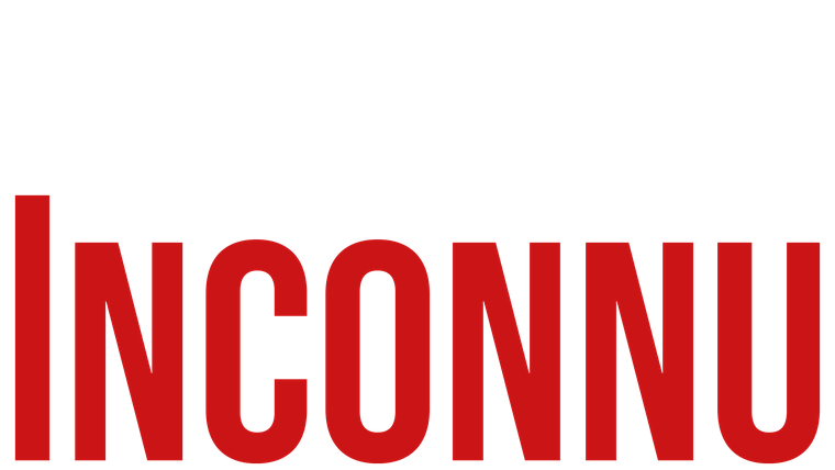 Mon parfait inconnu - Trailer