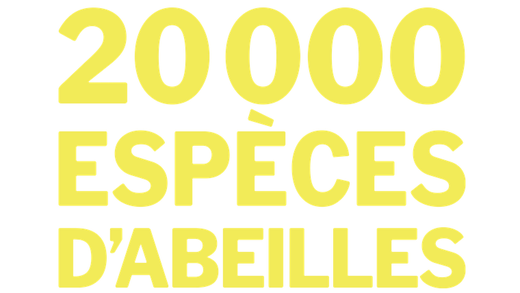 20 000 espèces d'abeilles - Trailer