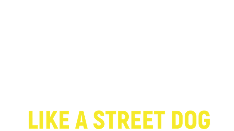 Shakespeare Like a Street Dog