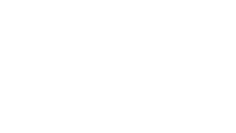 Crossing Istanbul