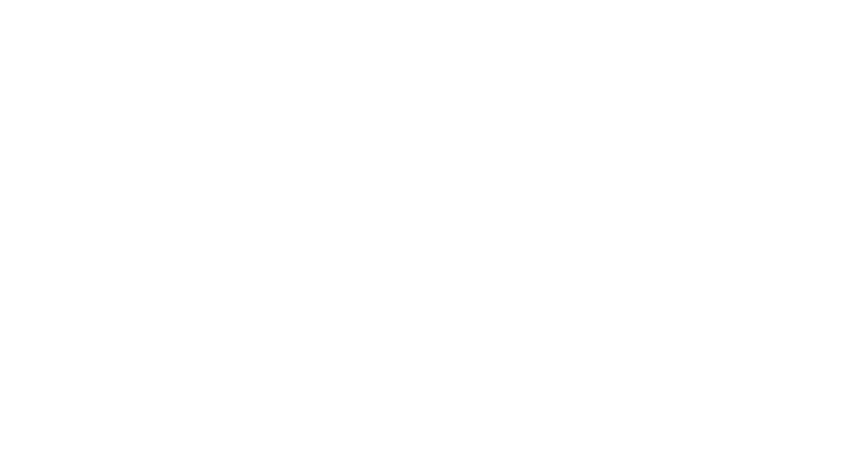 The Substance