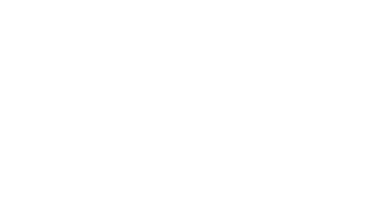 The Boat - Trailer