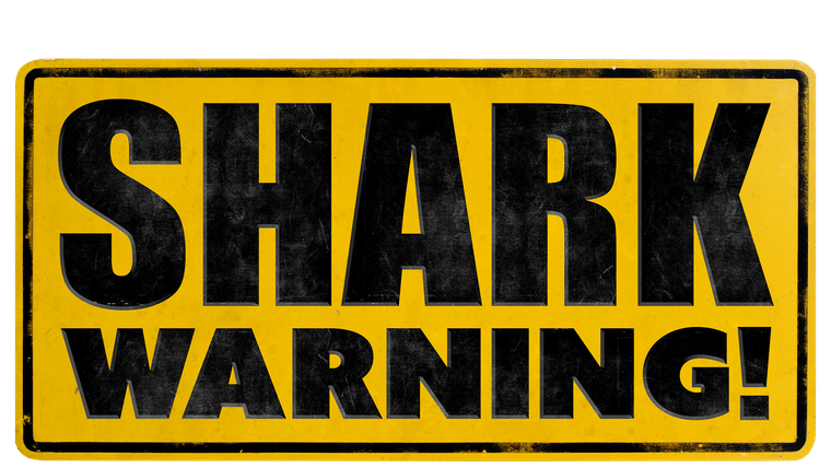 Shark Warning !