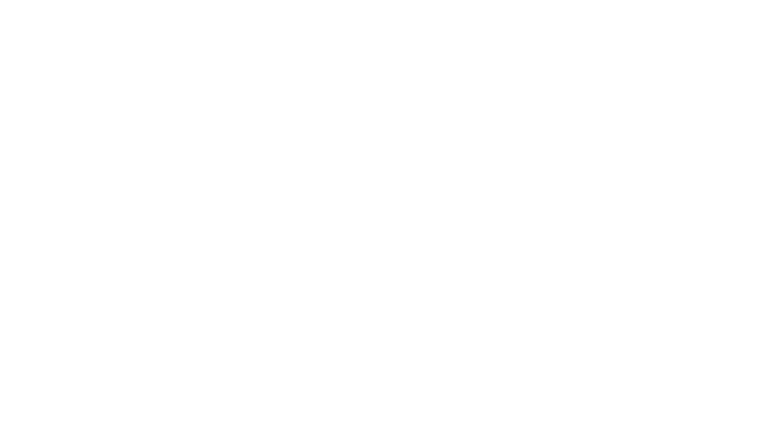 La Pie voleuse