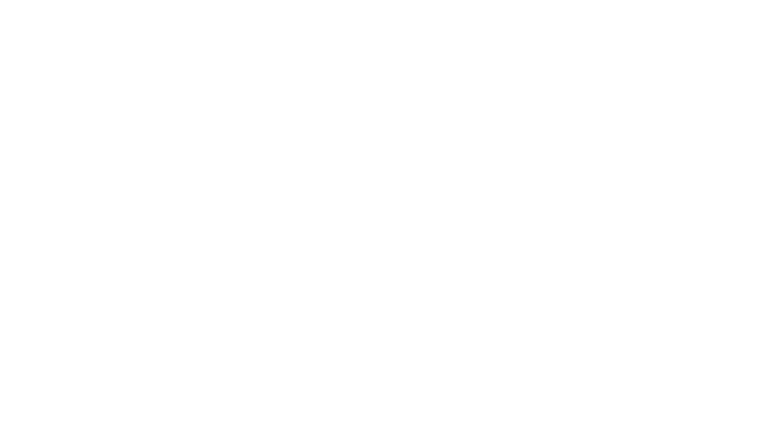 Companion