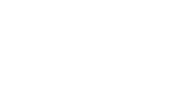 Sully