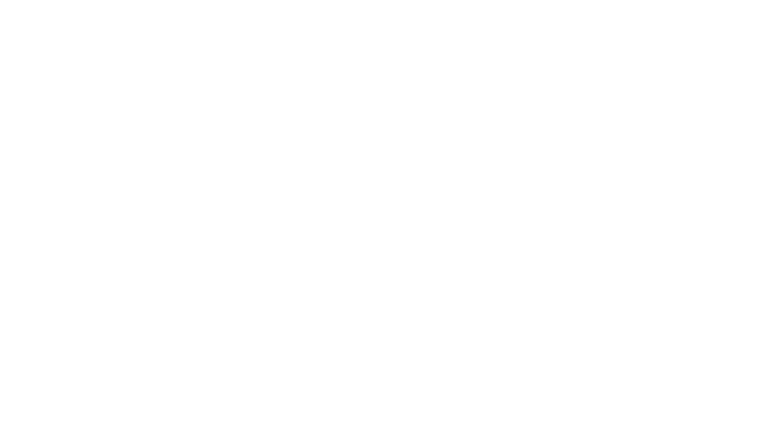 Les enquêtes de Foyle
