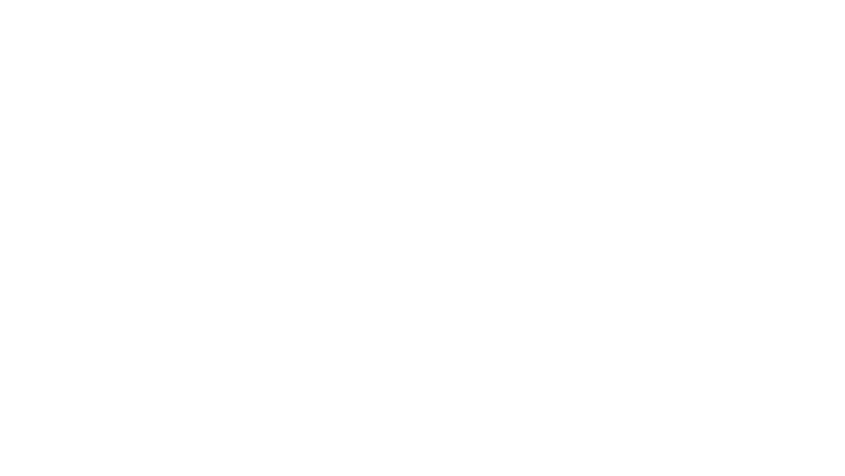 The Handmaid's Tale
