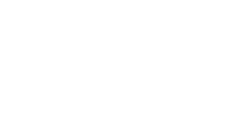 Fort Saganne