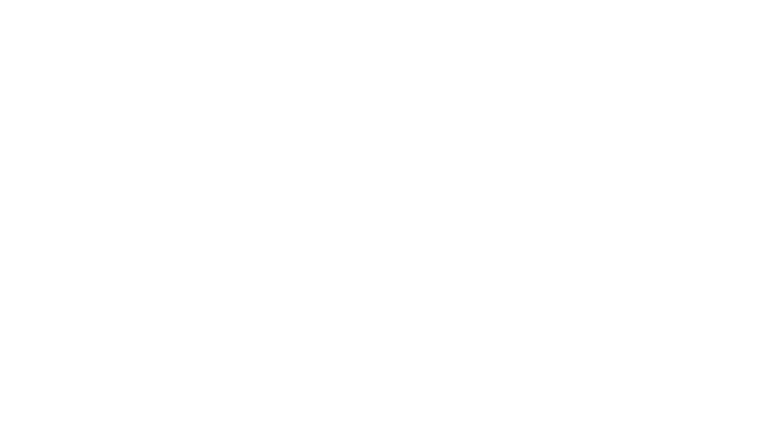 Les enquêtes de Foyle