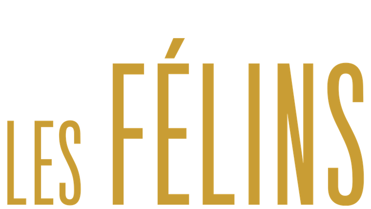 Les félins - Trailer