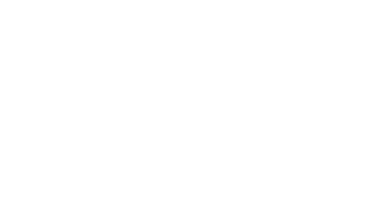 La fille invisible