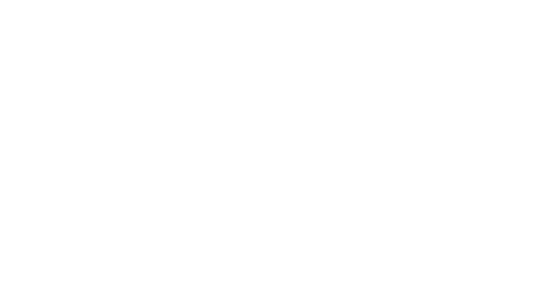 Se souvenir des tournesols