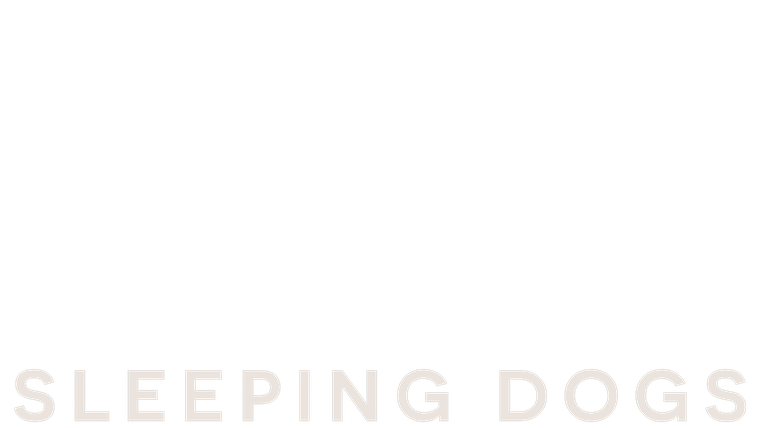 Sleeping Dogs