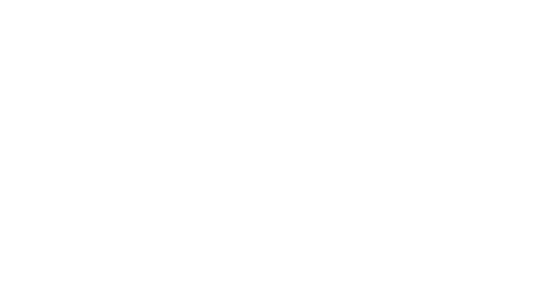 Dragons