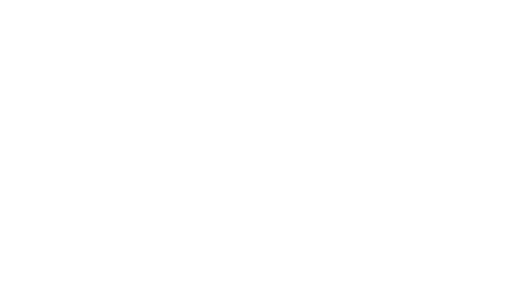 The Velvet Underground