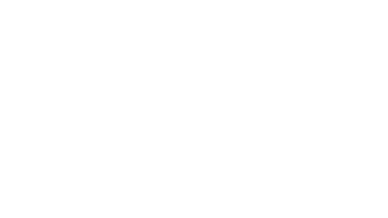 La découverte de la Chouette d'or