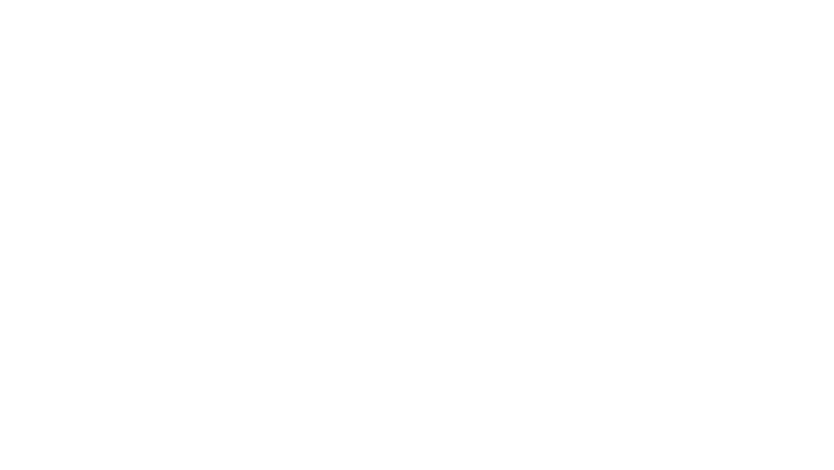 Enzo