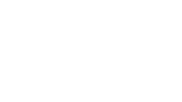 Beastie Boys Story