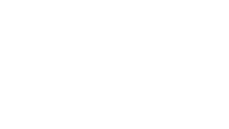Falcon Express