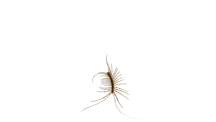 Mom