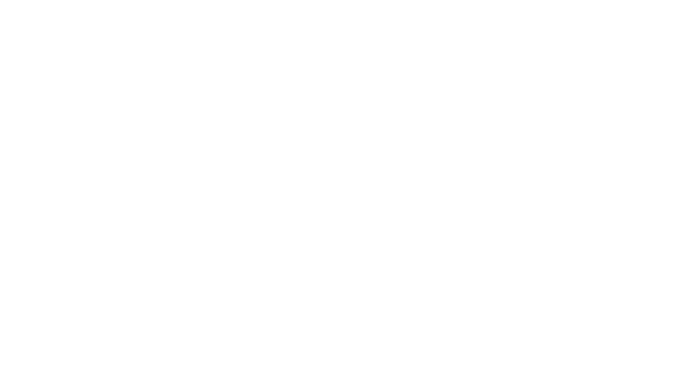 Brief History of a Family